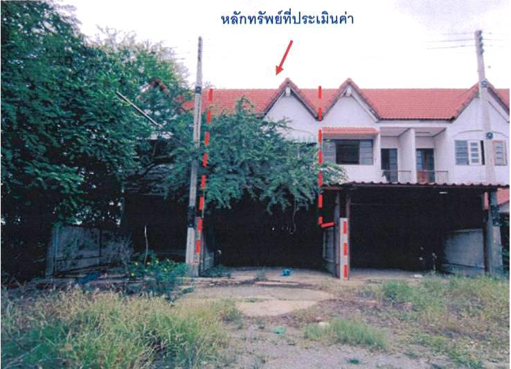 โคกคราม บางปลาม้า สุพรรณบุรี
