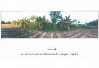ขายที่ดิน บักได พนมดงรัก สุรินทร์ - พนมดงรัก สุรินทร์ ขนาด 4-3-80.1 ของ ธนาคารออมสิน