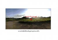 ขายที่ดิน