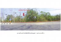 ขายที่ดิน