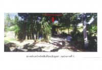 ขายที่ดินพร้อมสิ่งปลูกสร้าง บ้านฝาย น้ำปาด อุตรดิตถ์ ขนาด 0-0-86.2 ของ ธนาคารออมสิน