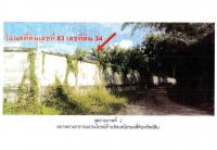 ขายที่ดิน