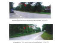 ขายที่ดิน บ้านฝาย น้ำปาด อุตรดิตถ์ ขนาด 4-2-12.1 ของ ธนาคารออมสิน