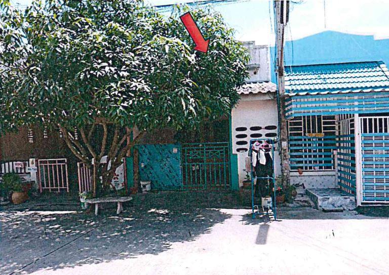 ลำผักกูด(คลองฝั่งใต้) ธัญบุรี ปทุมธานี