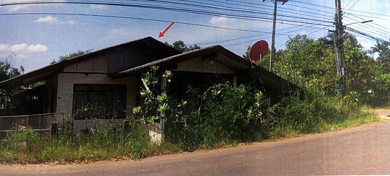 ปลาค้าว เมืองอำนาจเจริญ อำนาจเจริญ