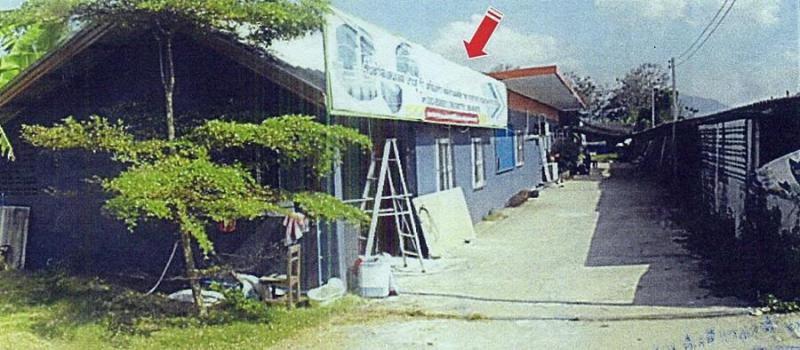 ต้นธงชัย เมืองลำปาง ลำปาง