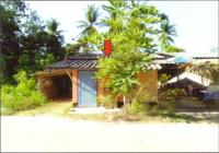 ขายบ้านเดี่ยว