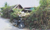 ขายบ้านเดี่ยว ชมพู เมืองลำปาง ลำปาง ขนาด 146 ตร.ว. ของ ธนาคารอาคารสงเคราะห์
