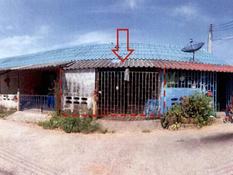 ปลวกแดง ปลวกแดง ระยอง