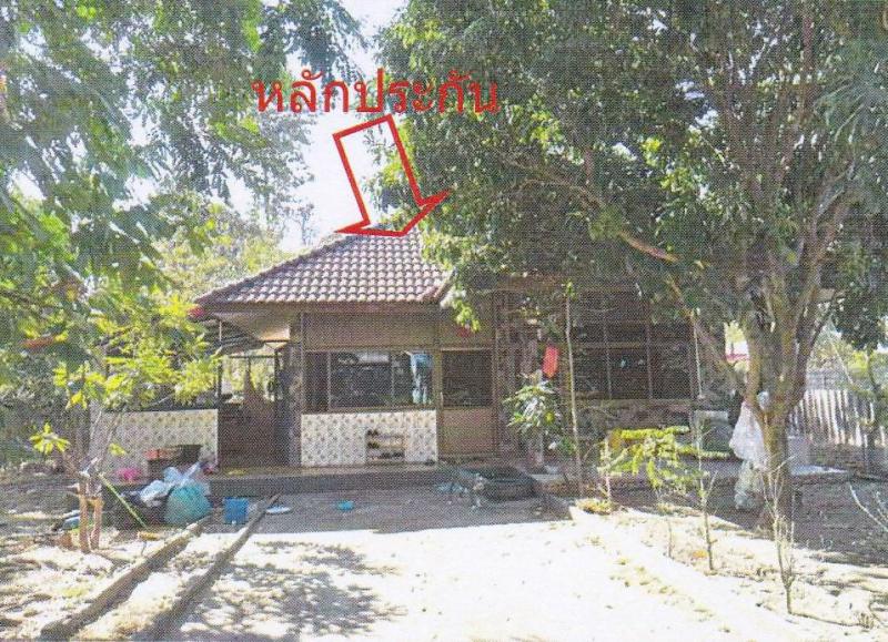 หนองบัว เมืองหนองบัวลำภู หนองบัวลำภู