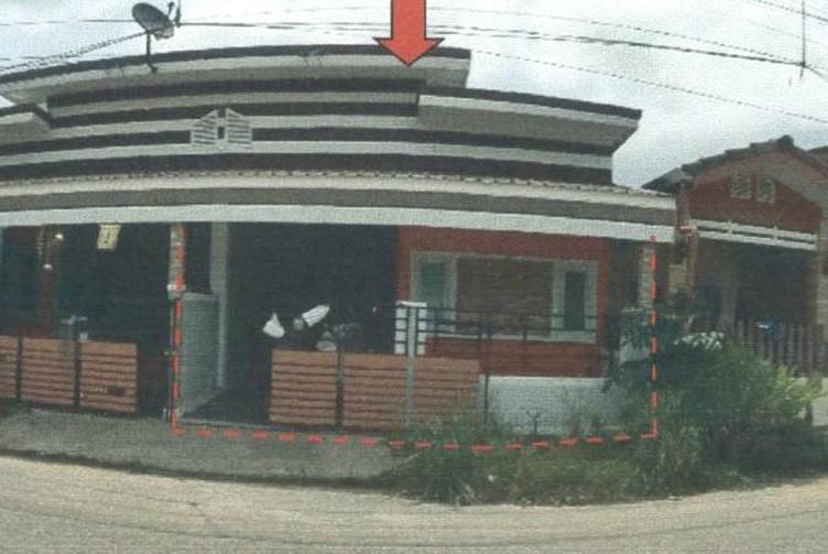 ปลวกแดง ปลวกแดง ระยอง