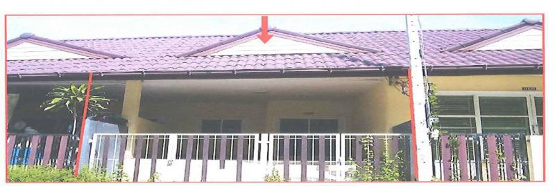 โคกม่วง คลองหอยโข่ง สงขลา