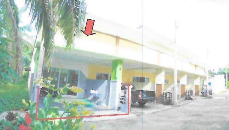 มะขามเตี้ย เมืองสุราษฎร์ธานี สุราษฎร์ธานี