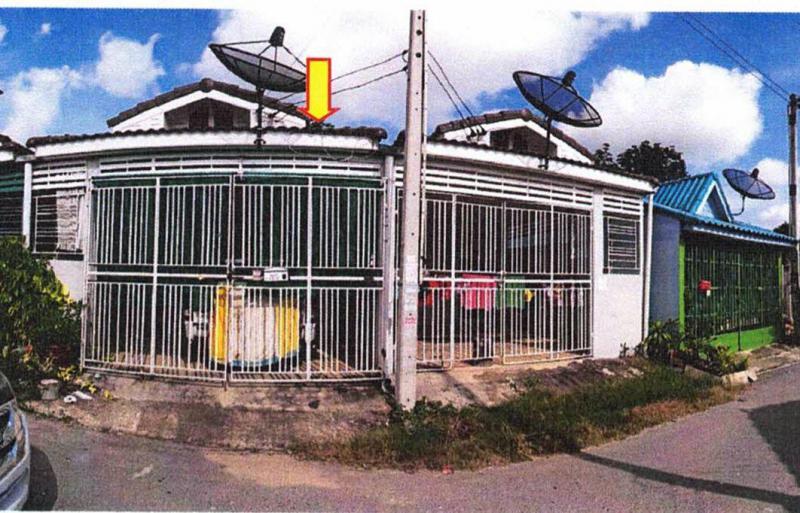 ปลวกแดง ปลวกแดง ระยอง