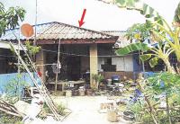 ขายทาวน์เฮ้าส์ บ้านฉาง บ้านฉาง ระยอง ขนาด 24 ตร.ว. ของ ธนาคารอาคารสงเคราะห์