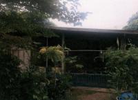 ขายบ้านเดี่ยว