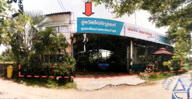 ม่วงสามสิบ ม่วงสามสิบ อุบลราชธานี