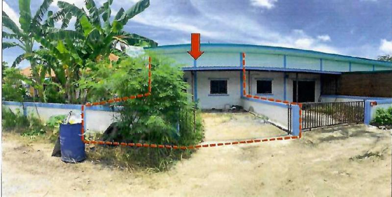 แปลงยาว แปลงยาว ฉะเชิงเทรา