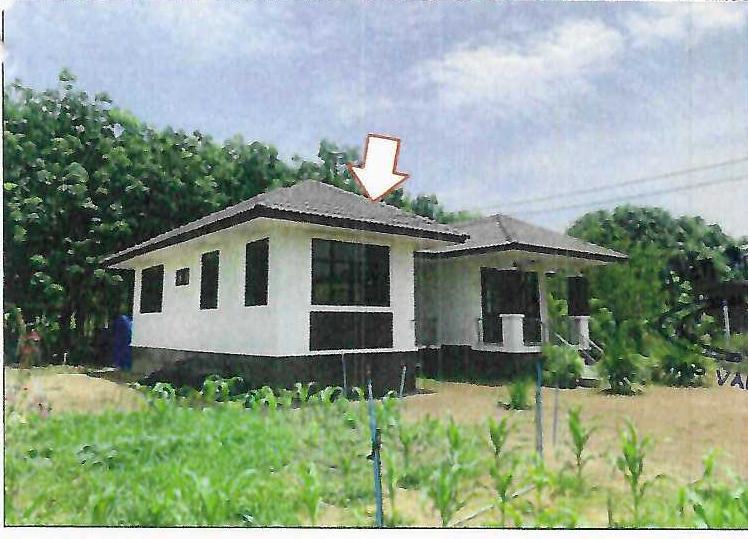 ดงหม้อทอง บ้านม่วง สกลนคร