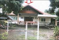 ขายบ้านเดี่ยว ภูกระดึง ภูกระดึง เลย ขนาด 177 ตร.ว. ของ ธนาคารอาคารสงเคราะห์