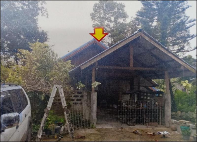 ดอนตรอ เฉลิมพระเกียรติ นครศรีธรรมราช