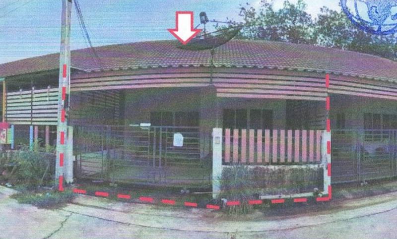 ปลวกแดง ปลวกแดง ระยอง