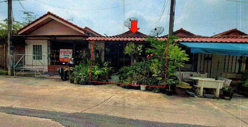 ลำผักกูด(คลองฝั่งใต้) ธัญบุรี ปทุมธานี