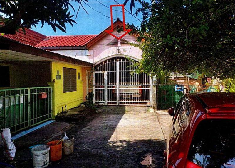 ลำผักกูด(คลองฝั่งใต้) ธัญบุรี ปทุมธานี