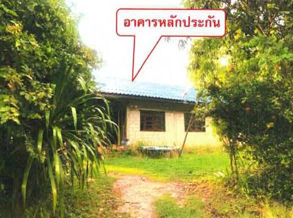 พานพร้าว ศรีเชียงใหม่ หนองคาย