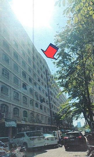 ดอกไม้ ประเวศ กรุงเทพมหานคร