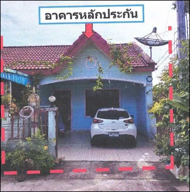 สะเดา สะเดา สงขลา