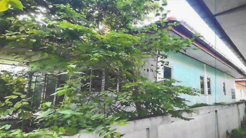 ลาดบัวขาว สีคิ้ว นครราชสีมา