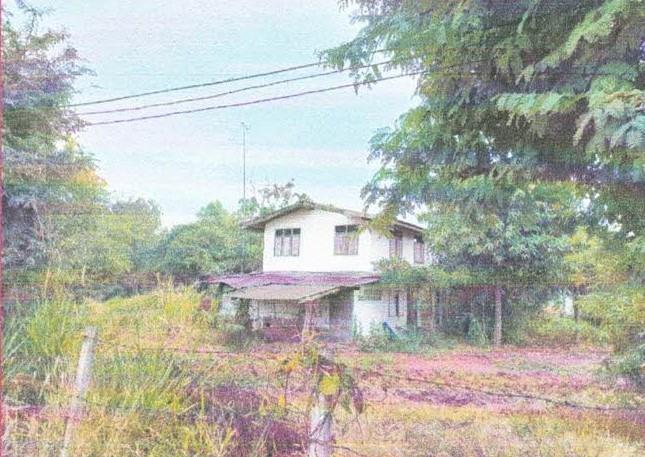 โพนทอง เมืองชัยภูมิ ชัยภูมิ