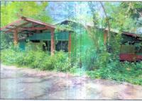 ขายบ้านเดี่ยว