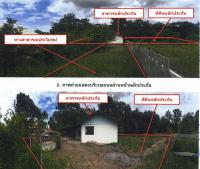 ขายบ้านเดี่ยว