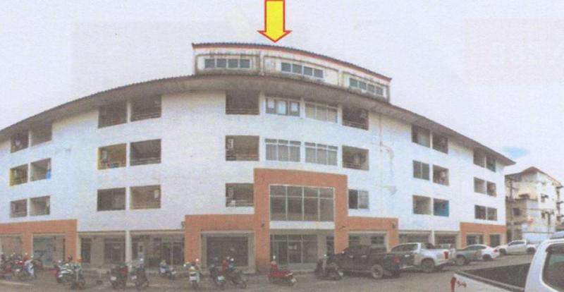 ปลวกแดง ปลวกแดง ระยอง