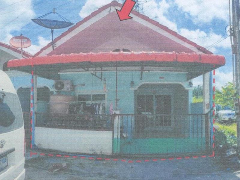 ปลวกแดง ปลวกแดง ระยอง