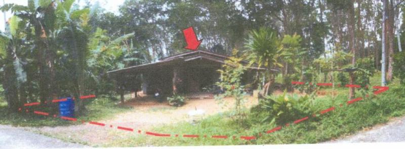 ช้างกลาง ช้างกลาง นครศรีธรรมราช