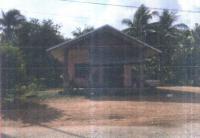 ขายบ้านเดี่ยว สะเดา นางรอง บุรีรัมย์ ขนาด 258 ตร.ว. ของ ธนาคารอาคารสงเคราะห์