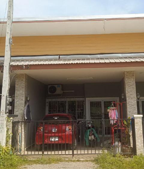 สะเดา สะเดา สงขลา