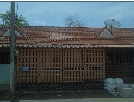 สะเดา สะเดา สงขลา