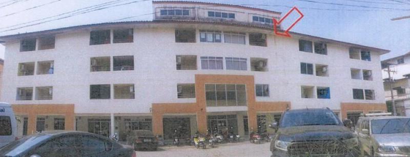 ปลวกแดง ปลวกแดง ระยอง