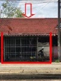 สะเดา สะเดา สงขลา