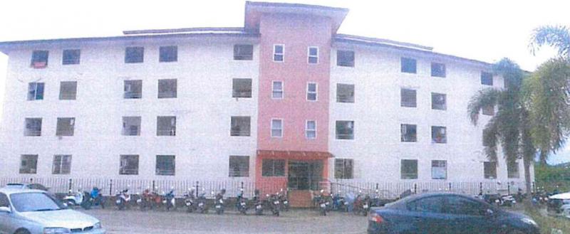 ปลวกแดง ปลวกแดง ระยอง