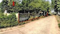 ขายบ้านเดี่ยว