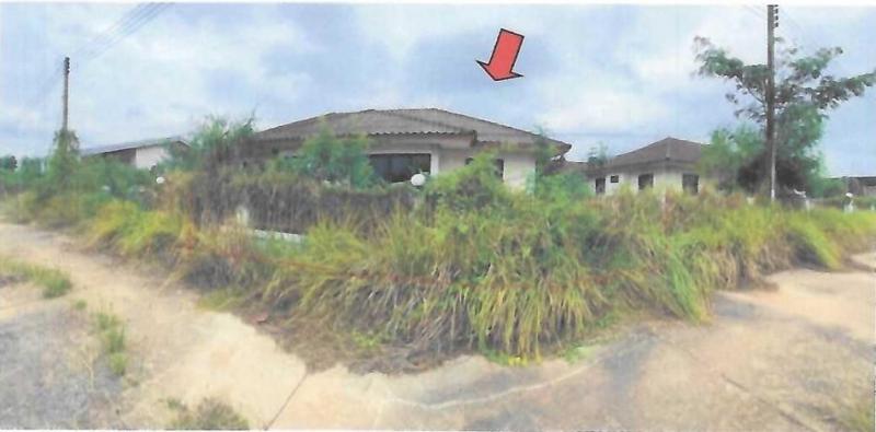 โนนไทย โนนไทย นครราชสีมา