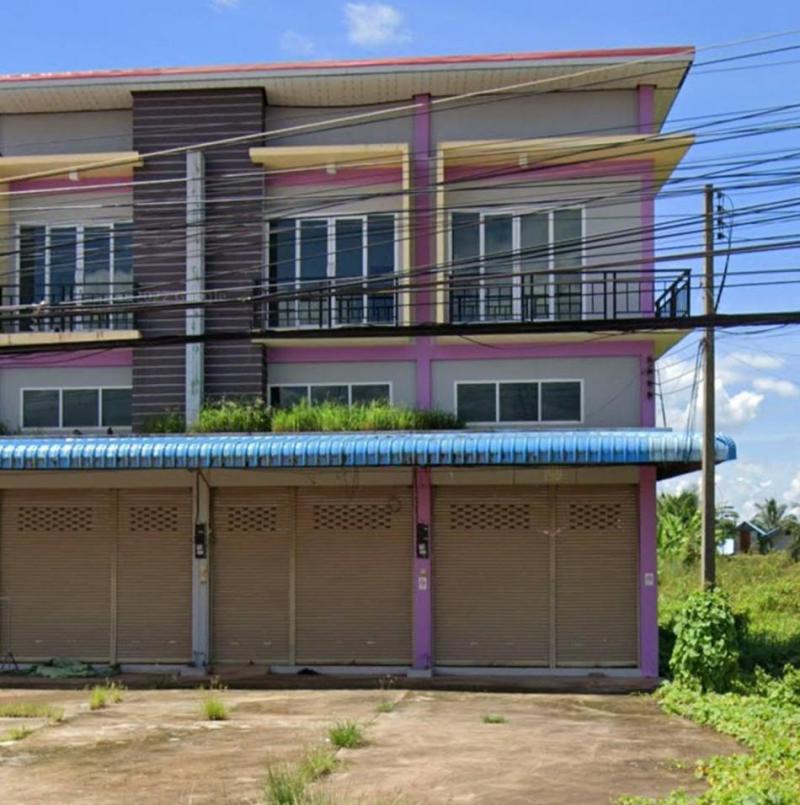 ป่าแดง ชาติตระการ พิษณุโลก