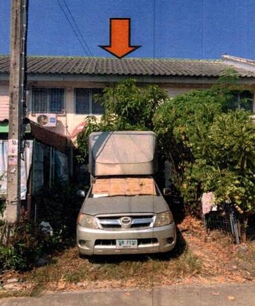 กระทุ่มราย หนองจอก กรุงเทพมหานคร