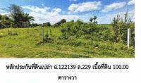 ขายที่ดิน ในเมือง เมืองชัยภูมิ ชัยภูมิ ขนาด 1 งาน 0 วา ของ ธนาคารอาคารสงเคราะห์
