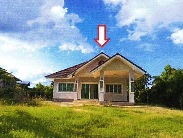 นาฝาย เมืองชัยภูมิ ชัยภูมิ